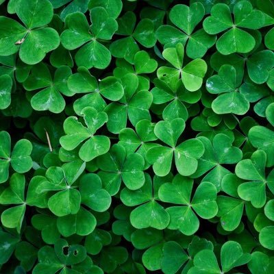 ma4ma7's profile picture. 168/60/5x 居酒屋で一緒に呑める人ができたらうれしいな