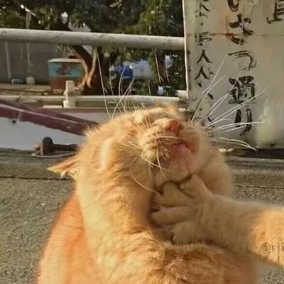 o6sNLIDBhvFWYjs's profile picture. 