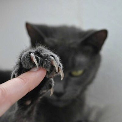 Terry_Miao's profile picture. 