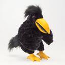 Steve Crow - @SCrowBird - Twitter