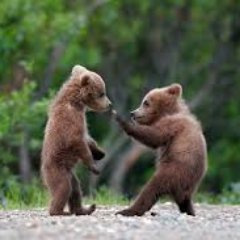 MaciHarci's profile picture. 