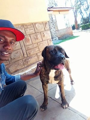 paulodueyo2's profile picture. 