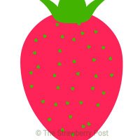 The Strawberry🍓 Post (@tstrawberrypost) 's Twitter Profile Photo The Strawberry🍓 Post (@tstrawberrypost) 's Twitter Profile Photo