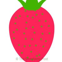 The Strawberry🍓 Post(@TStrawberryPost) 's Twitter Profileg