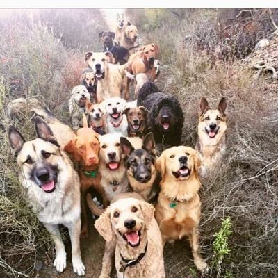 israyaparate's profile picture. 