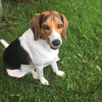Jane Pearson (@janepearson92) 's Twitter Profile