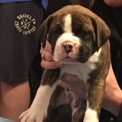 Profile Picture of Louis & Paula Tucker (@LouisPaulaTuck1) on Twitter