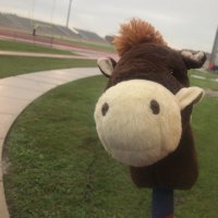 Tony the Turnover Pony (@turnoverpony) 's Twitter Profile Photo Tony the Turnover Pony (@turnoverpony) 's Twitter Profile Photo