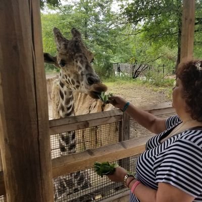 Mom to one son, one rotten pup 🌈, and three cats; wife; RN; animal lover ❤🐾🌻 🌊
Likes and retweets do not indicate endorsements.