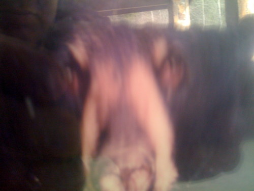 erik3266's profile picture. SWM