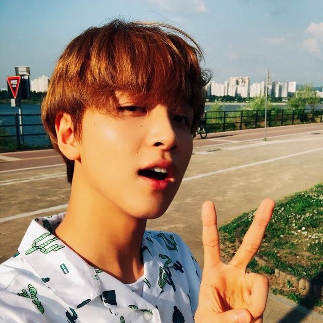 fullsunhaexox's profile picture. 