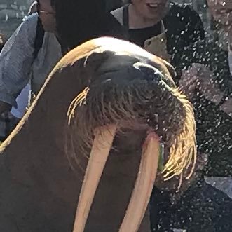 雑記さんのプロフィール画像