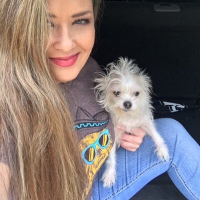 tinydawglittle's profile picture. 