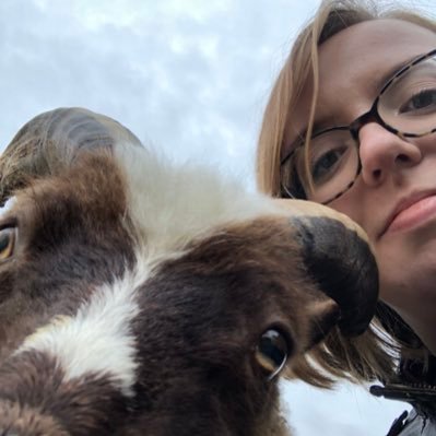 HaveAPretzel's profile picture. University of Maine alumna. Enthusiast of the arts, education and equality. she/her/hers