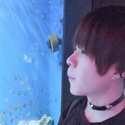 マウスプロモーション所属 / 魚/珈琲 / 水族館 / 釣り/ プログラミング / 料理 /コスメ