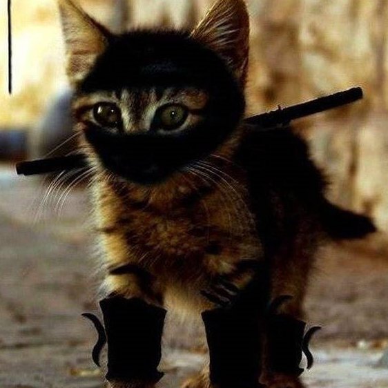 Dennis84169165's profile picture. 