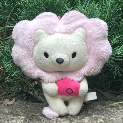 camelion_fan's profile picture. ぼくの名前はカメライオンです🦁好きなものはりんご🍎💕人間の人と旅行に行ったりご飯を食べに行ったりしてるよ！※インスタと連動した自動投稿なので、お返事遅めです🦁💦【ぼくのインスタhttps://t.co/Siglu76JLQ】 【official様💕@girls_cp】