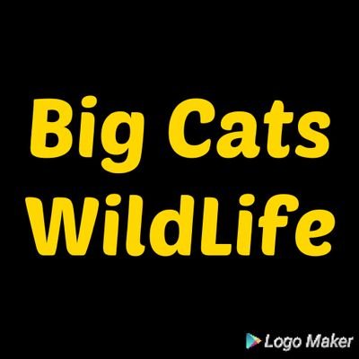 Big Cat & Wild Cat Community.
Photo's, Education, Conservation. 
🦁 Follow Us 🐯 @bigcatswildlife 
🐆 Tag #bigcatswildlife