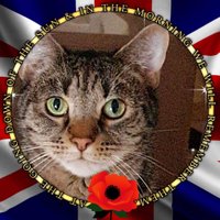 Yorkshire Lady (@yorkshirelady3) 's Twitter Profile
