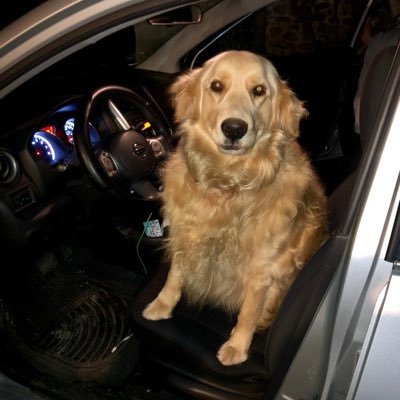 delbertmz's profile picture. 