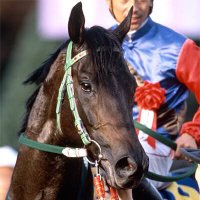 らいすしゃわー☆ 🐎🐎🐎🐎🐎🏇 (@riceshower_star) 's Twitter Profile
