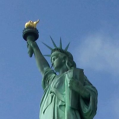 Refugio73909124's profile picture. 