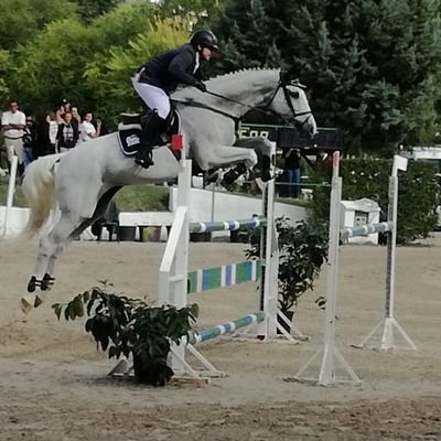 Pablo Hernandez Romero jinete internacional de Salto de Obstáculos.
Miembro equipo @pinolcompeticion y Galopando contra el Cáncer con @fundaladina
@hipicapinol