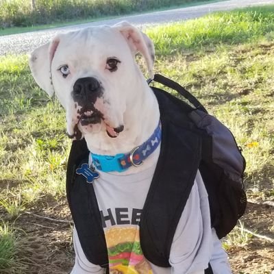 rains_lacey's profile picture. #homelife#wifeandmomto3#livingwith
fibro!#poshingitup!