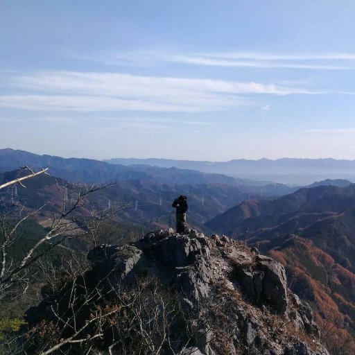 xellex14's profile picture. 