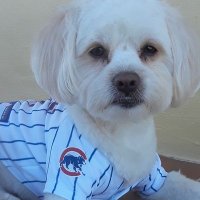 Claudia (@duky1107) 's Twitter Profile