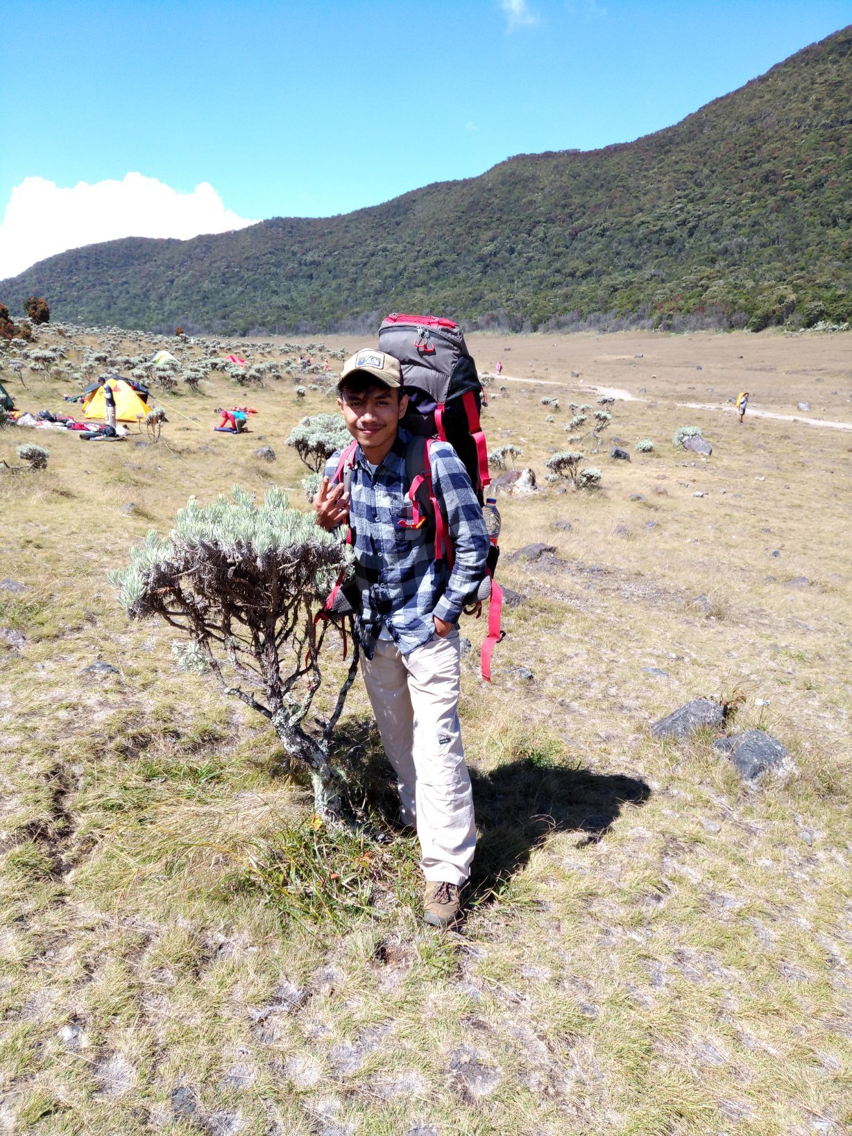 doplopep's profile picture. https://t.co/uW3zjvDSMl