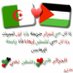 جزائسطينية (@froschlurche) Twitter profile photo جزائسطينية (@froschlurche) Twitter profile photo