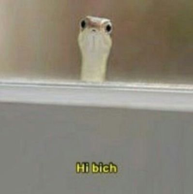 dos_sola's profile picture. 