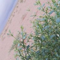 يوسف المهري (@youalmahri) Twitter profile photo