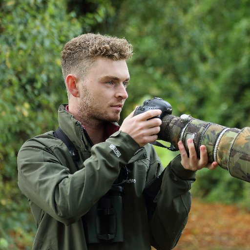 based in the Forest of Dean. Wildlife photography, birding, metal detecting and sport.