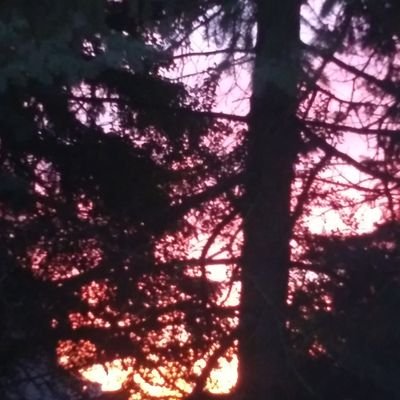 emsgrammasays's profile picture. Mom to 👩👨| Gramma to 👧👦 | Red Sox fan | Crochet crafty | 😺 Mom | she/her | #FFXI | #VoteBlue | #Resist | #FBR | #BLM | #MaskUp 😷 | #Vaccinated x3 |