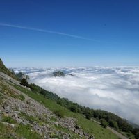 E (@e_g0ldste1n) 's Twitter Profile Photo