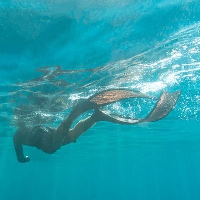 Présenter des parcours de nages et pour faire découvrir un sport accessible à tous...
#nageenmer #apnee #eaulibre #nageavecpalmes #openwater