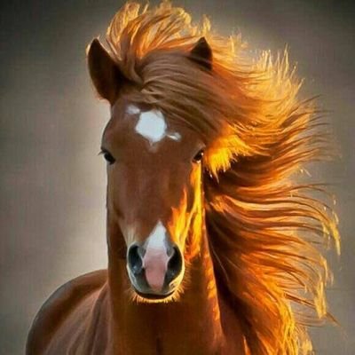 ‏‏‏‏‏أعشق الصدق و أرى أنه سيد الاخلاق