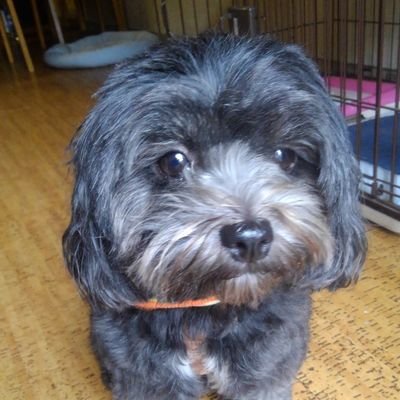 GTIibLSgb1OJPyK's profile picture. 初心者なのでよろしくお願いいたします