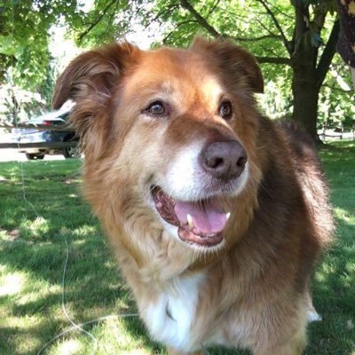 Yogijack7's profile picture. I’m special