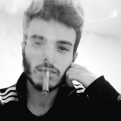 Alex_Macte's profile picture. Gripao.
 #MM93