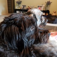 Karen Lunn (@kazlunn) 's Twitter Profile Photo Karen Lunn (@kazlunn) 's Twitter Profile Photo