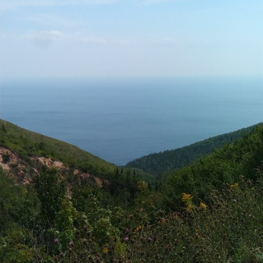 TheLessonIsLove's profile picture. Far to the left 🇨🇦. An eye for an eye makes the whole world blind...Mahatma Gandhi. Words are powerful, they can hurt or heal. Truth matters.