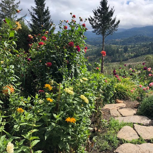 Cattomi's profile picture. Grandmother, Cook, Mushroom Hunter, Snowmobiler, Traveler, Less Government,#draintheswamp#Constitution#buildthewall#America First#Maga...Truth Seeker