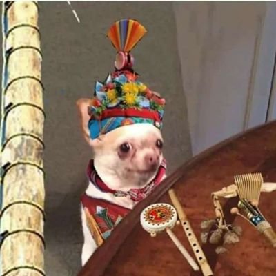 albertrabajando's profile picture. 