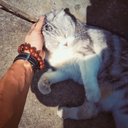 Eric Berkeley - @BerkeleyEric - Twitter