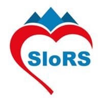 SloRS (@slo_rs) 's Twitter Profile