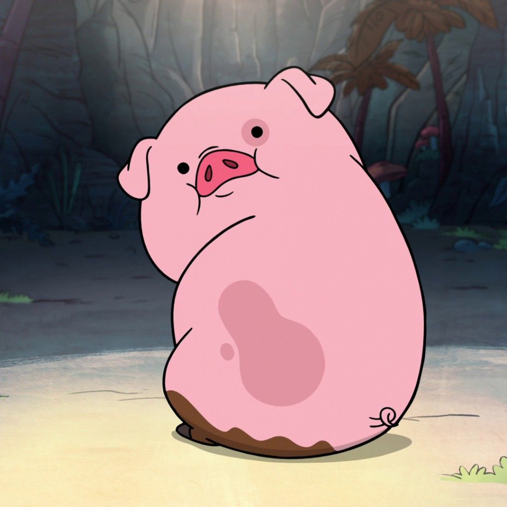 dariashprot's profile picture. 