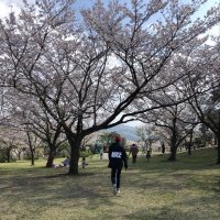 けいすけ (@takagi_m_508) 's Twitter Profile